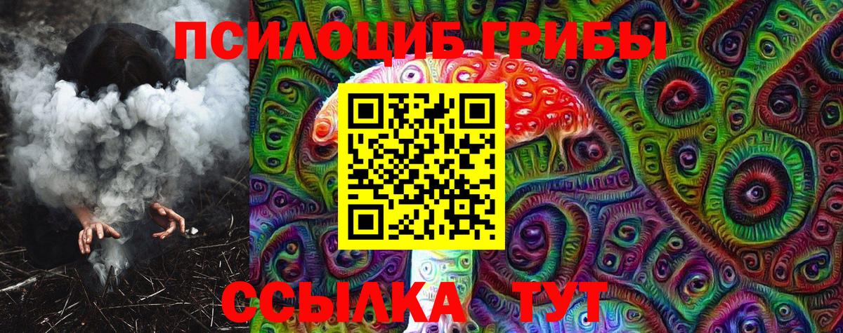 Псилоцибиновые грибы Cubensis Геленджик